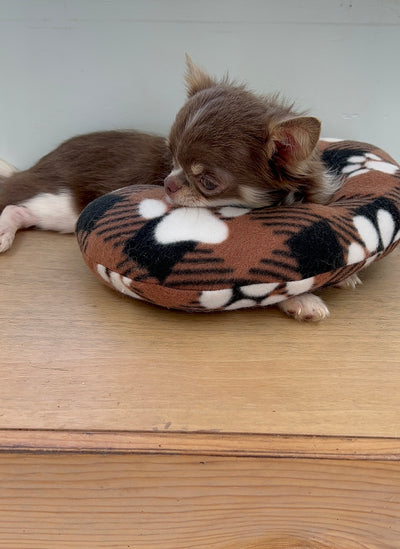NEW Lazzzy Pawz Calming Pillow