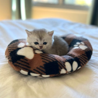 NEW Lazzzy Pawz Calming Pillow
